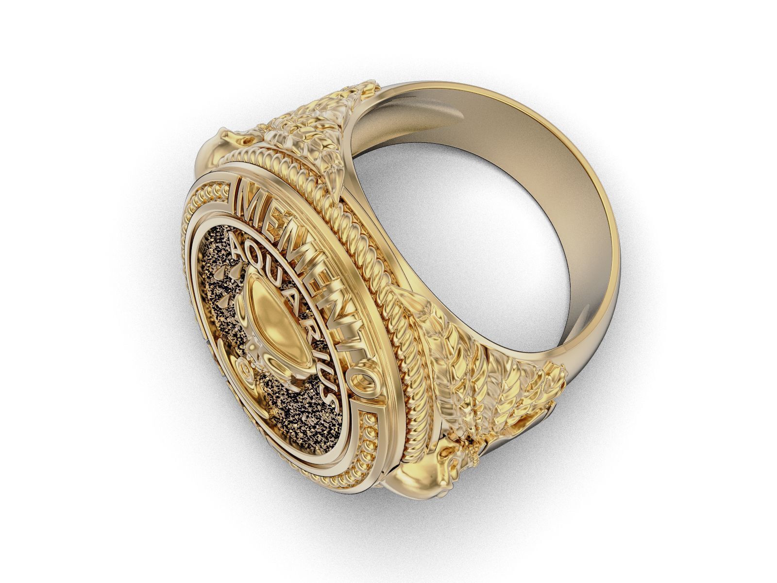 Zodiac skull ring Aquarius 3D print model_14