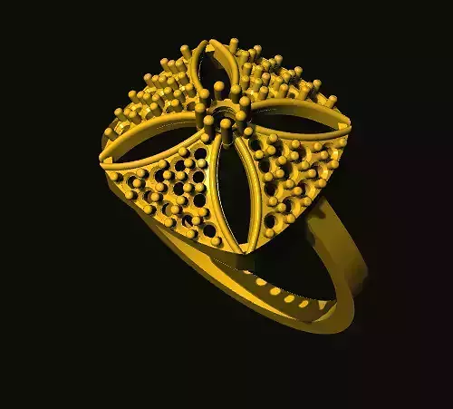 rings sand dollar ring