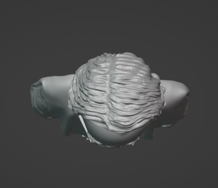 Gregor Mendel 3D print model_26