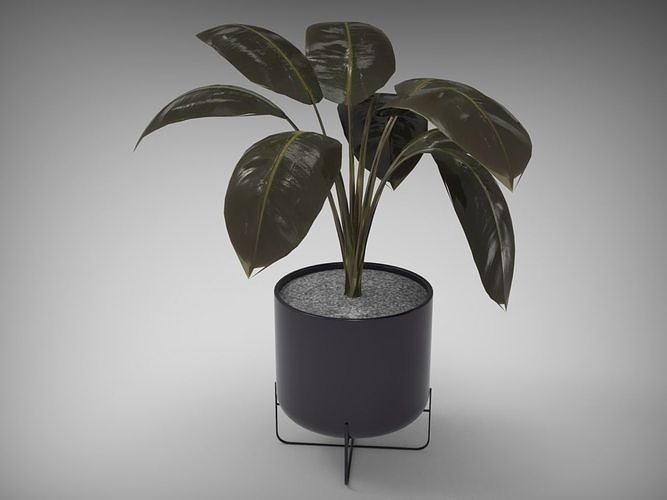 Planter Pot 3D model