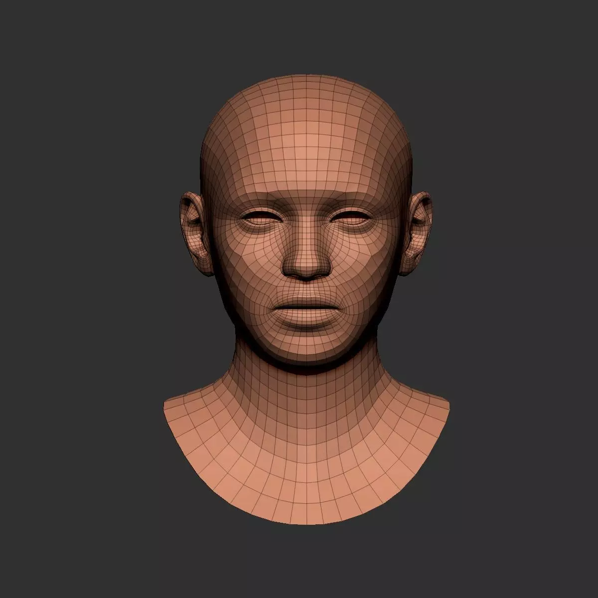 Head basemesh 3D model_0