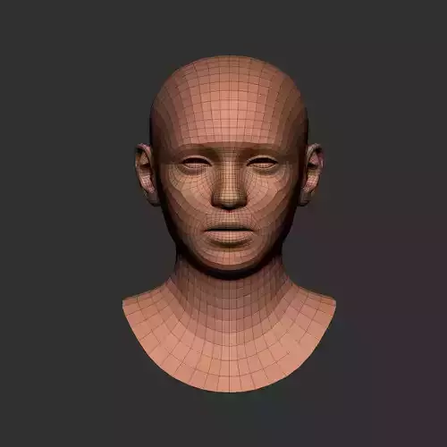Head basemesh