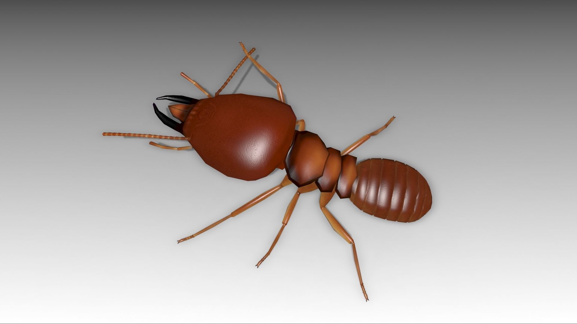 Termite ant Low-poly 3D model_9