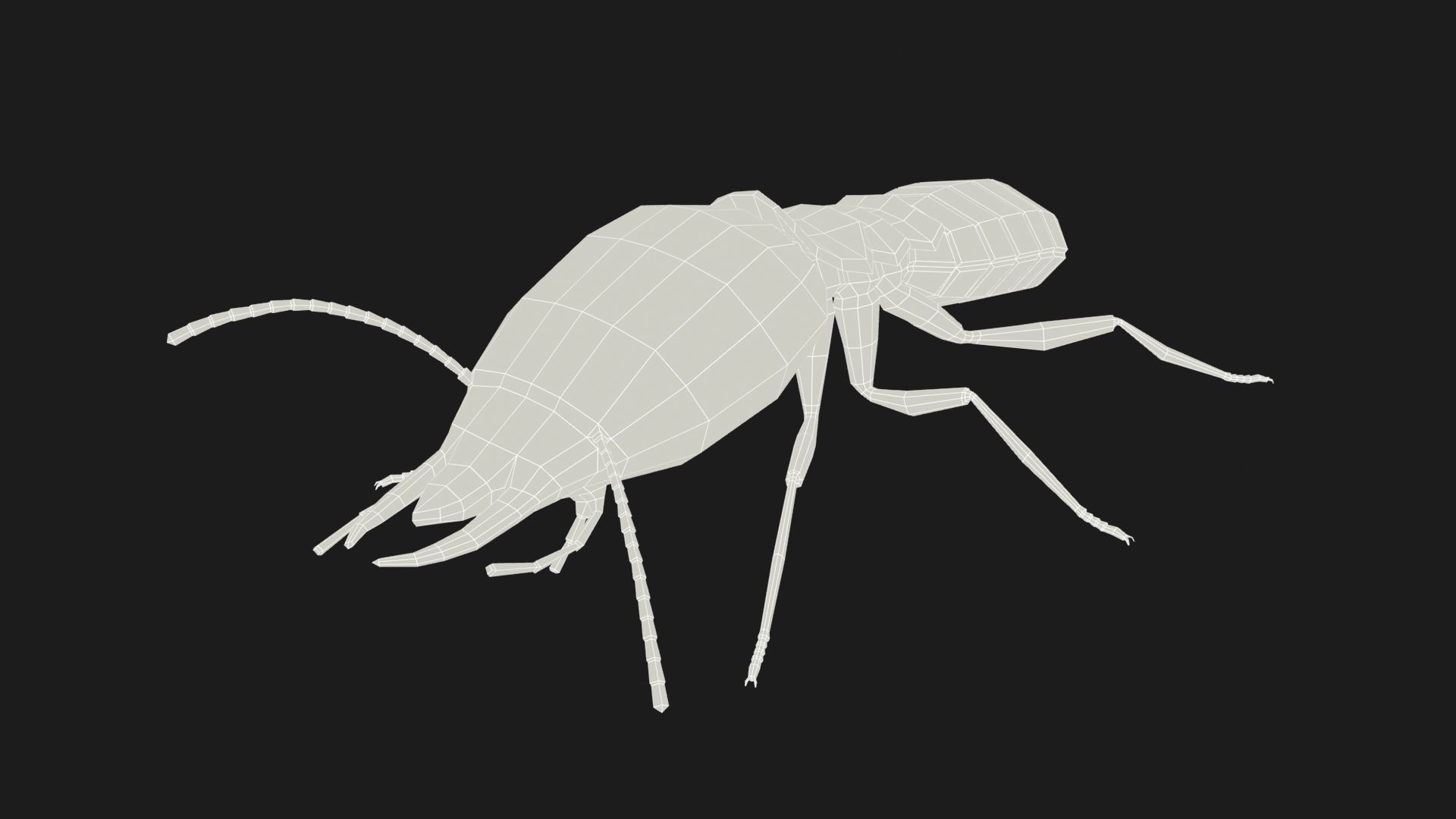 Termite ant Low-poly 3D model_11
