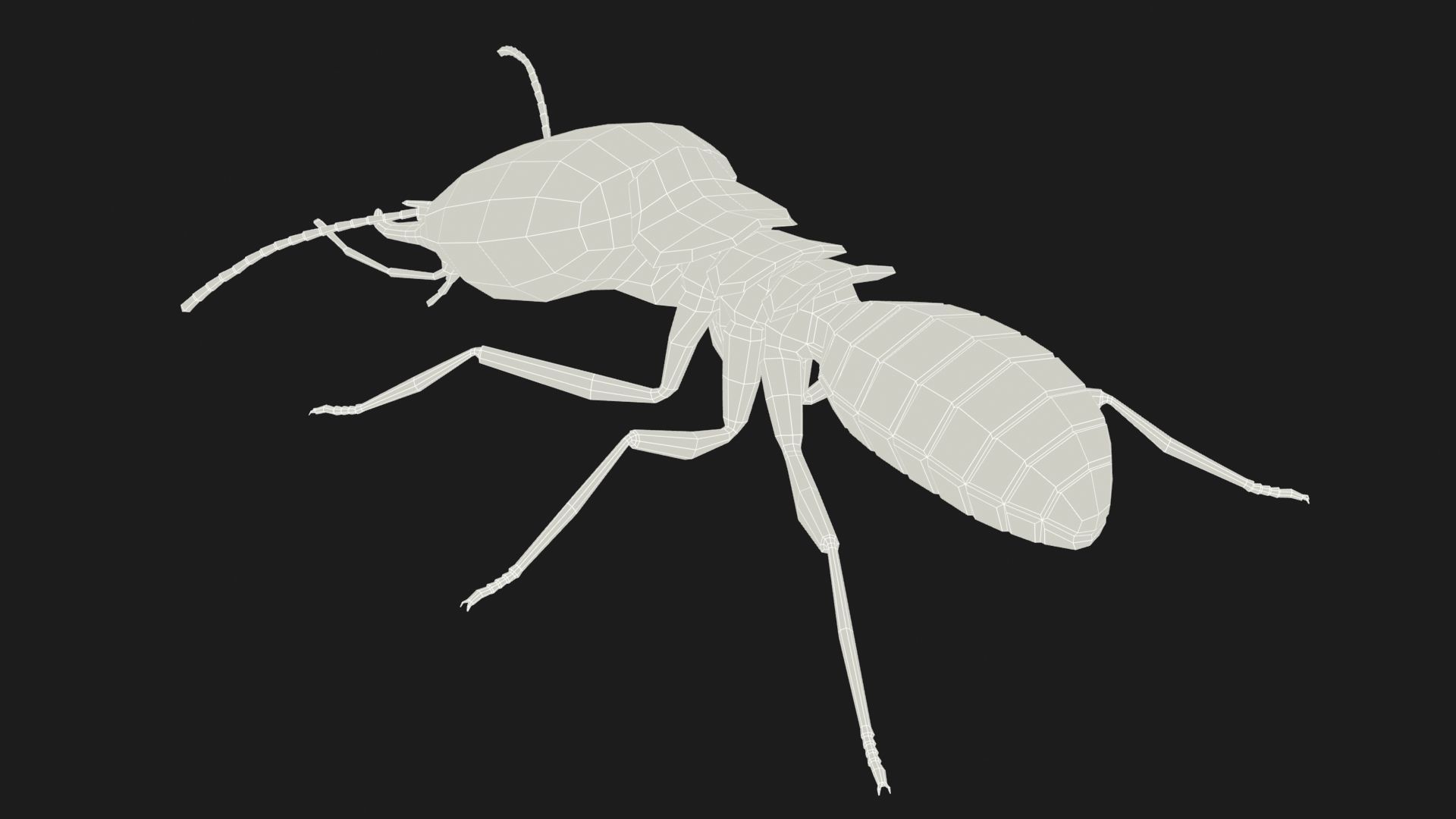 Termite ant Low-poly 3D model_12
