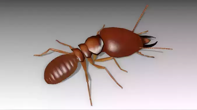 Termite ant Low-poly 3D model