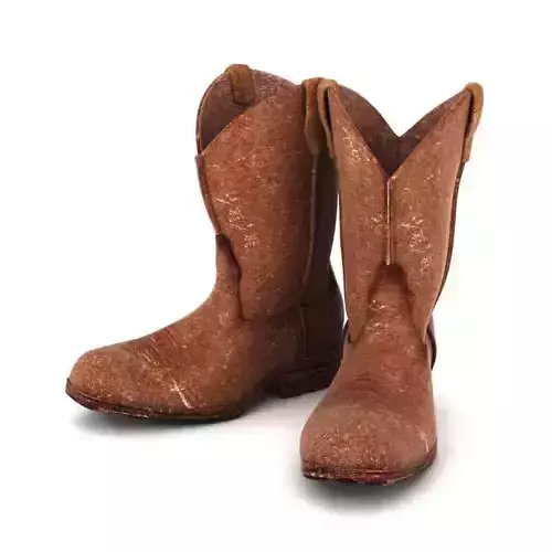 Mens Cowboy Boots 3D model