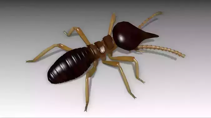Nasute Termite Low-poly 3D model