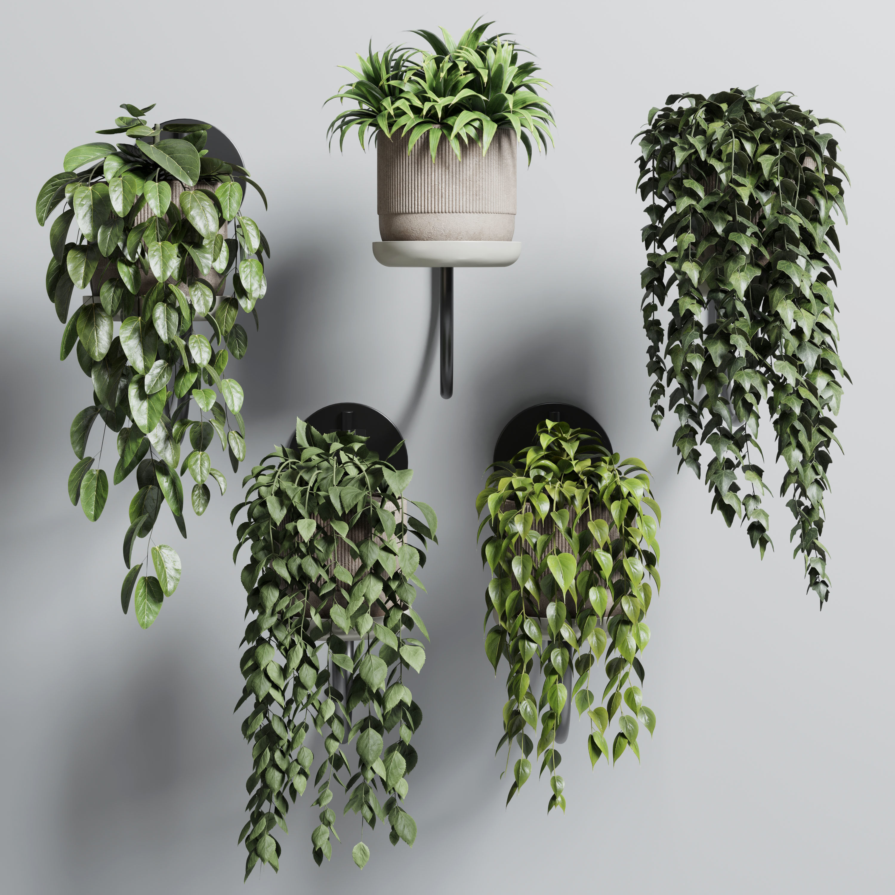 wall plant - collection Indoor plant 180 concrete wall vase 3D model_1