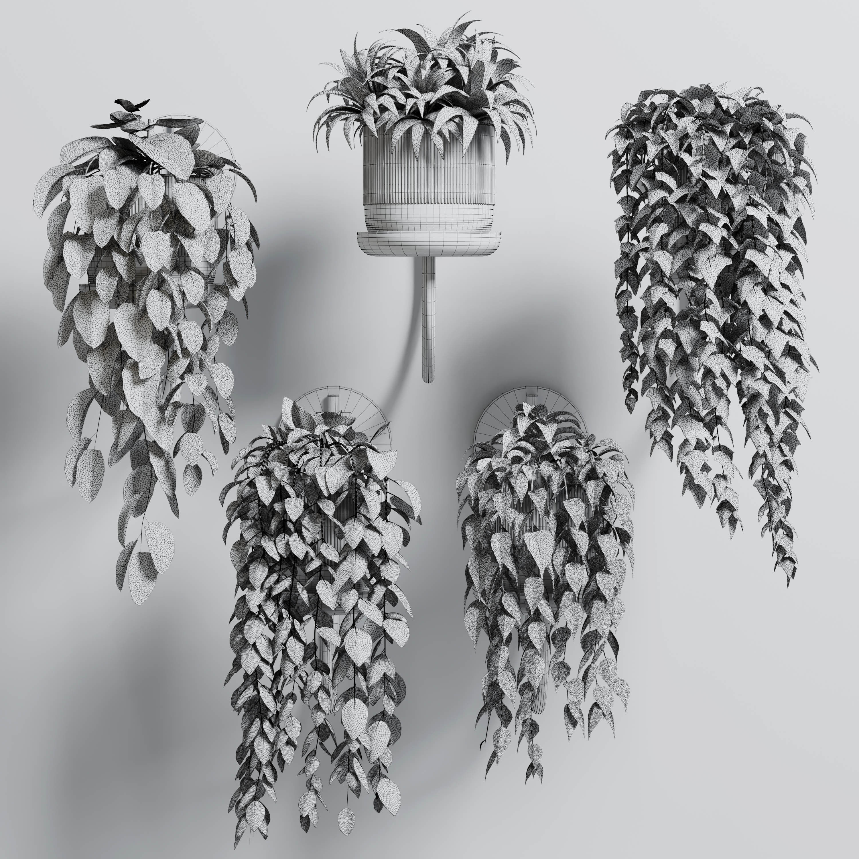 wall plant - collection Indoor plant 180 concrete wall vase 3D model_6