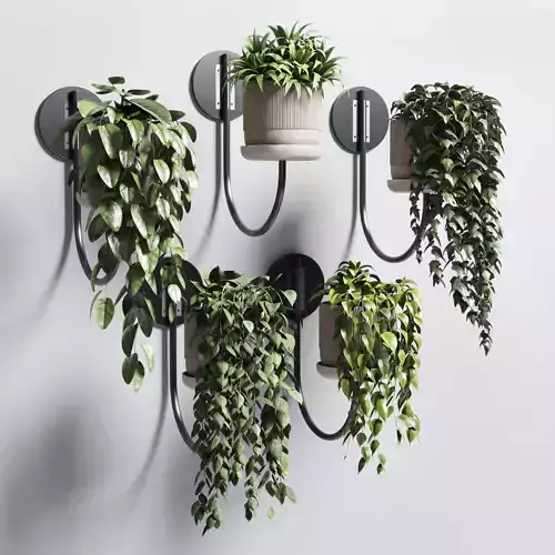 wall plant - collection Indoor plant 180 concrete wall vase 3D model