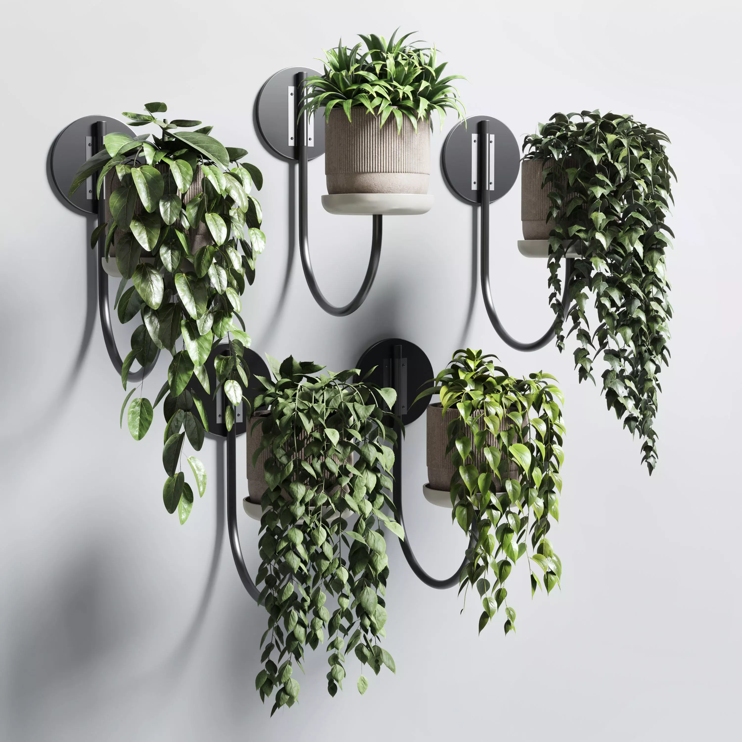 wall plant - collection Indoor plant 180 concrete wall vase 3D model_0