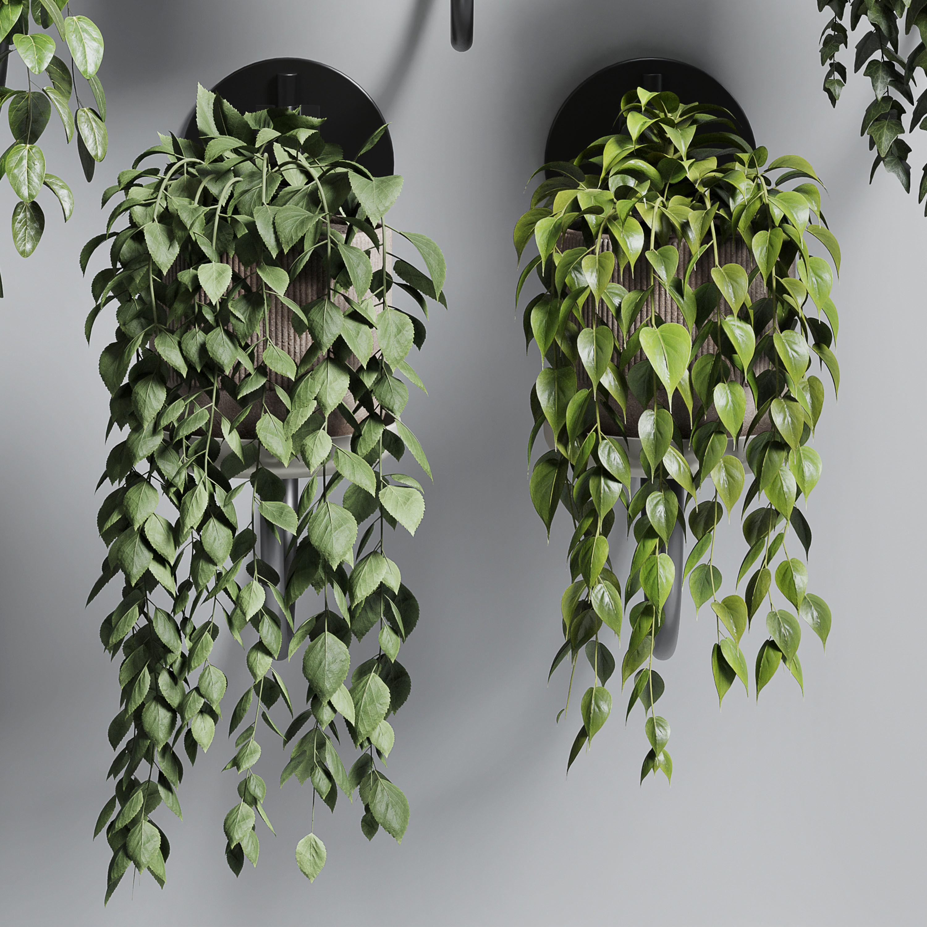 wall plant - collection Indoor plant 180 concrete wall vase 3D model_3