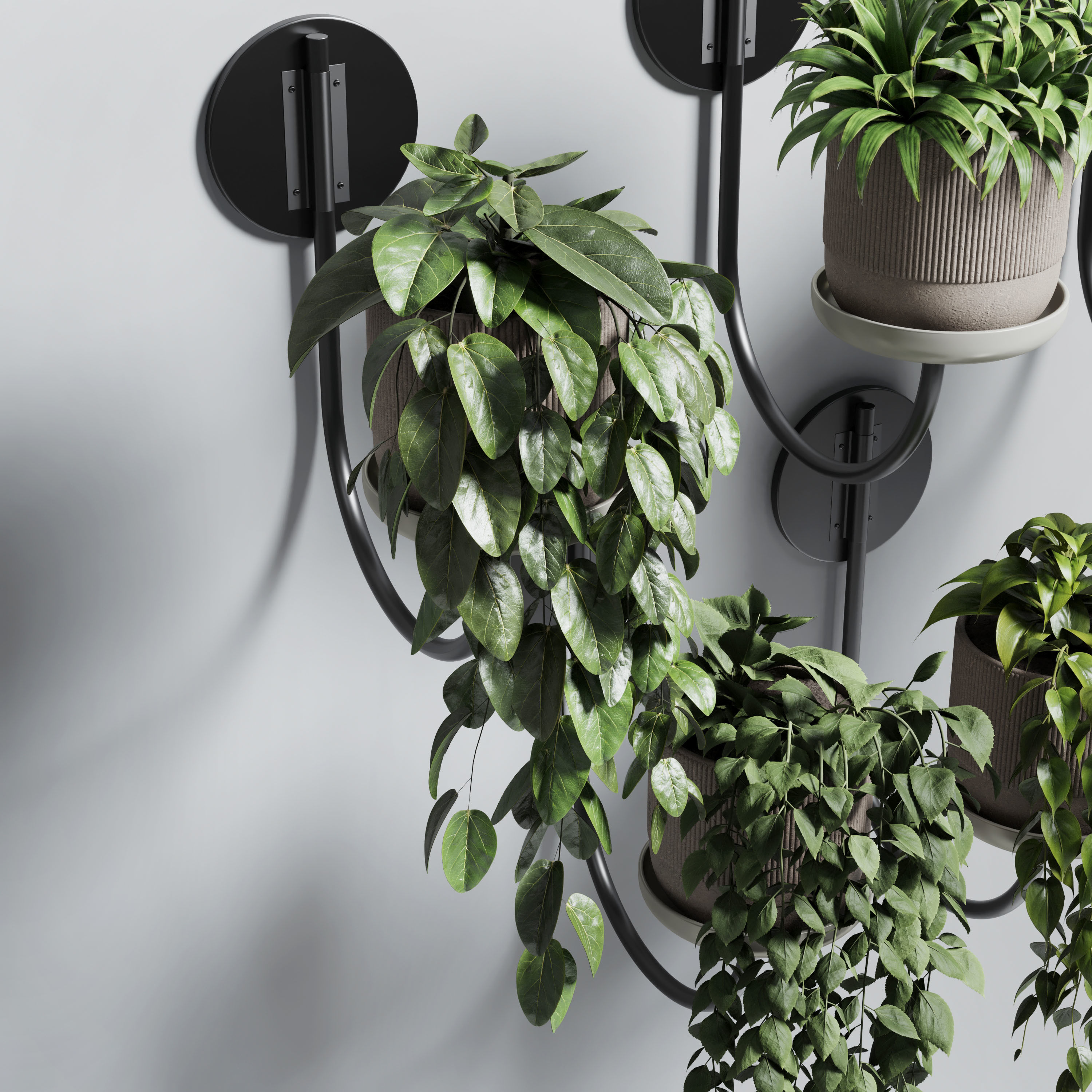 wall plant - collection Indoor plant 180 concrete wall vase 3D model_4