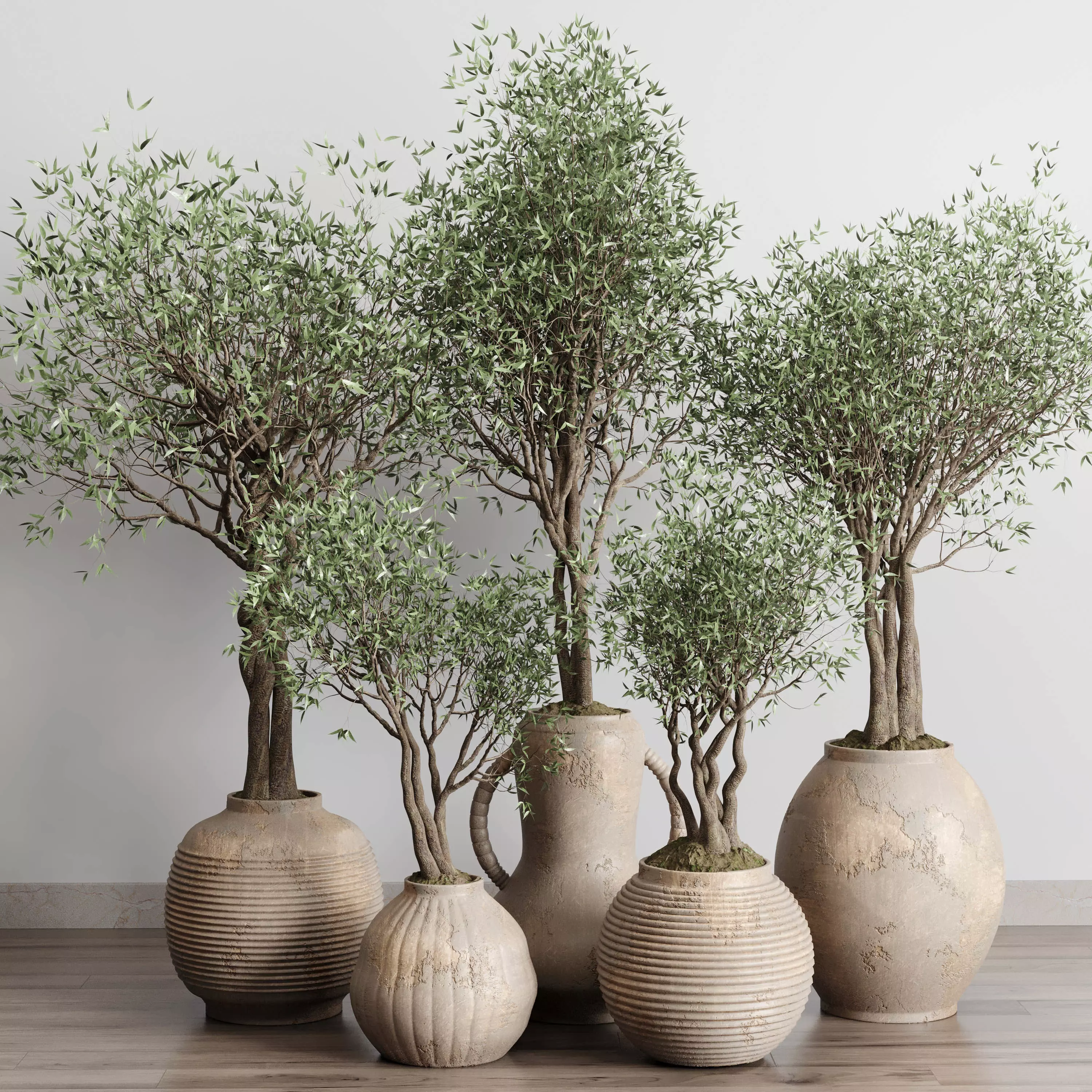 Olive tree in an old earthenware vase indoor collection 182 3D model_0