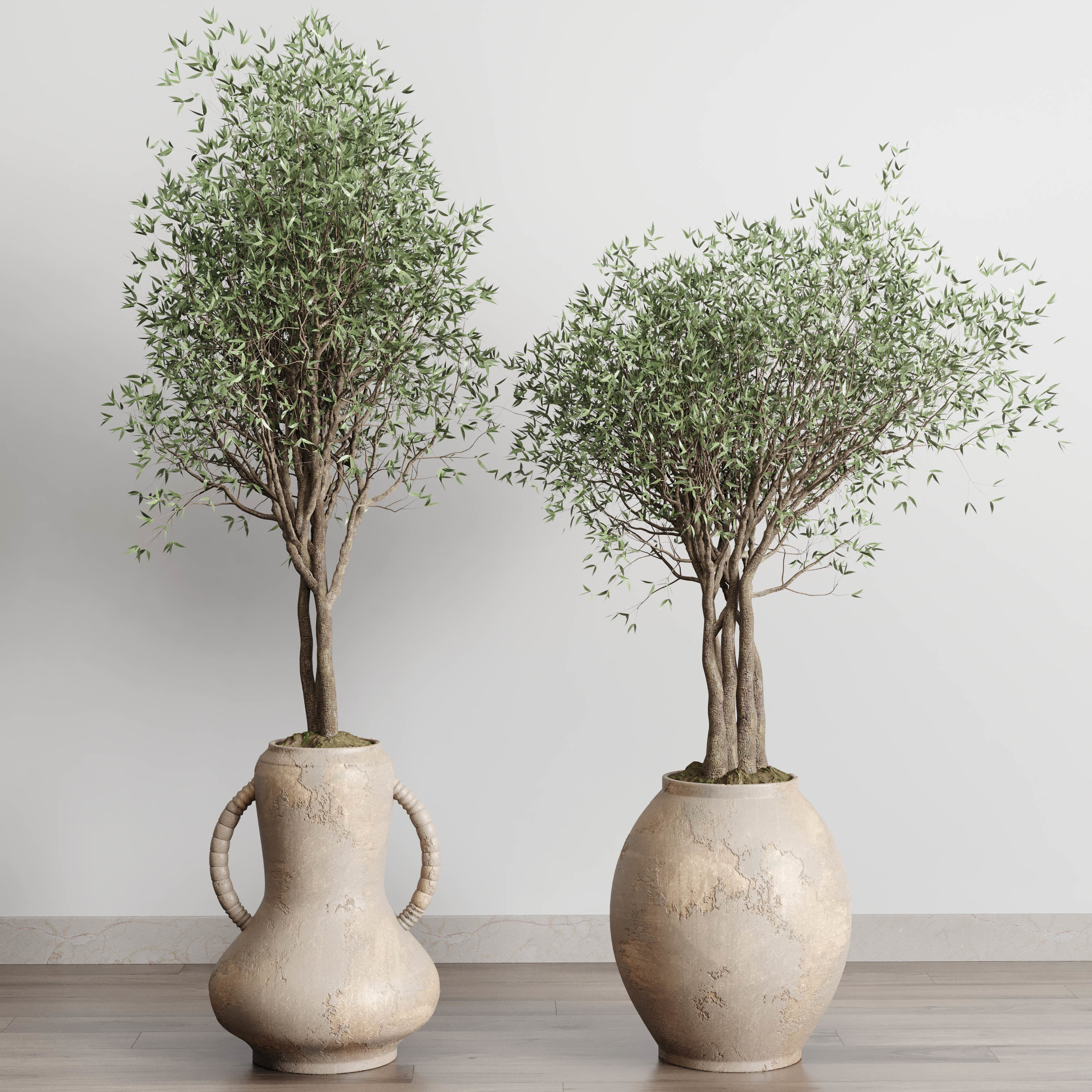 Olive tree in an old earthenware vase indoor collection 182 3D model_3
