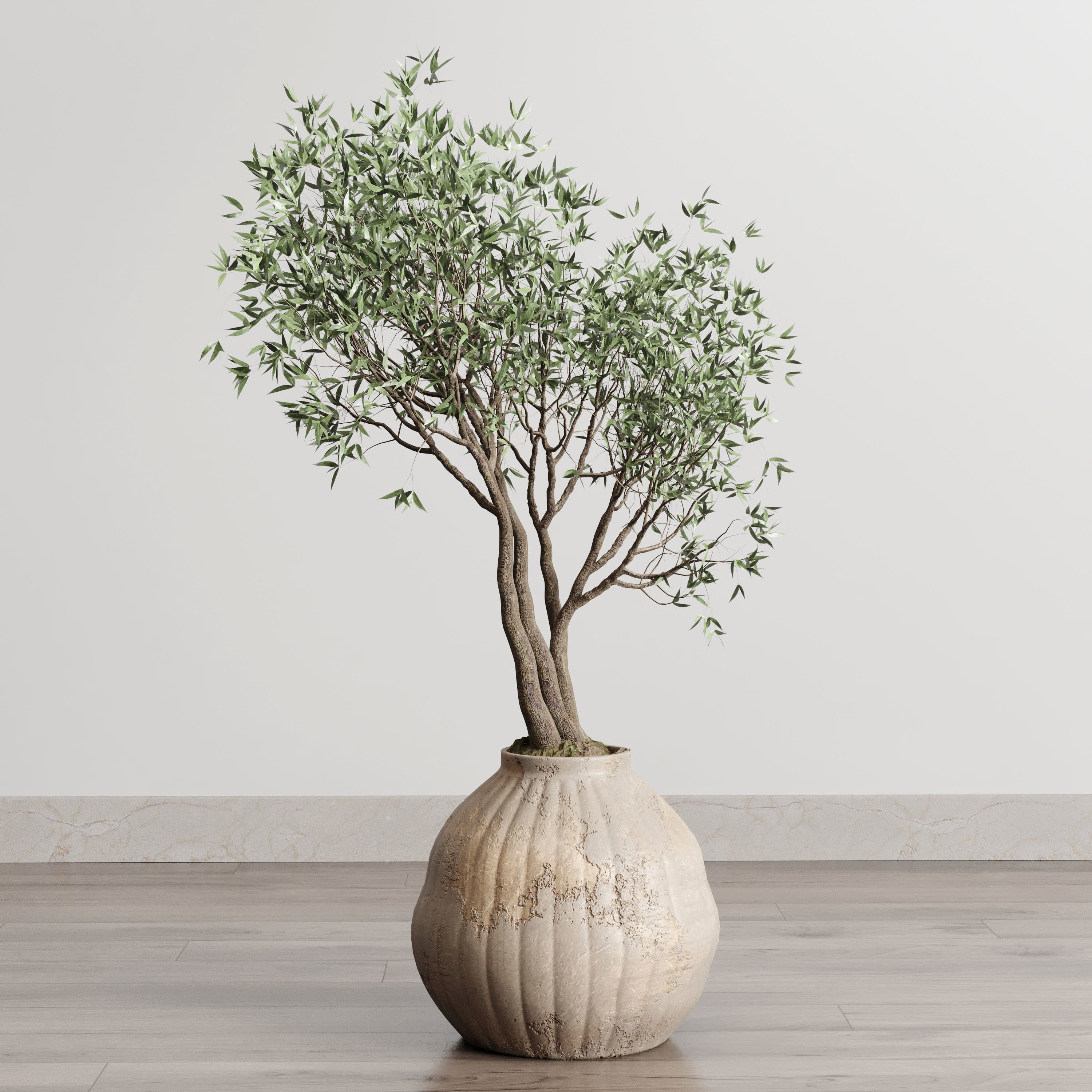 Olive tree in an old earthenware vase indoor collection 182 3D model_4