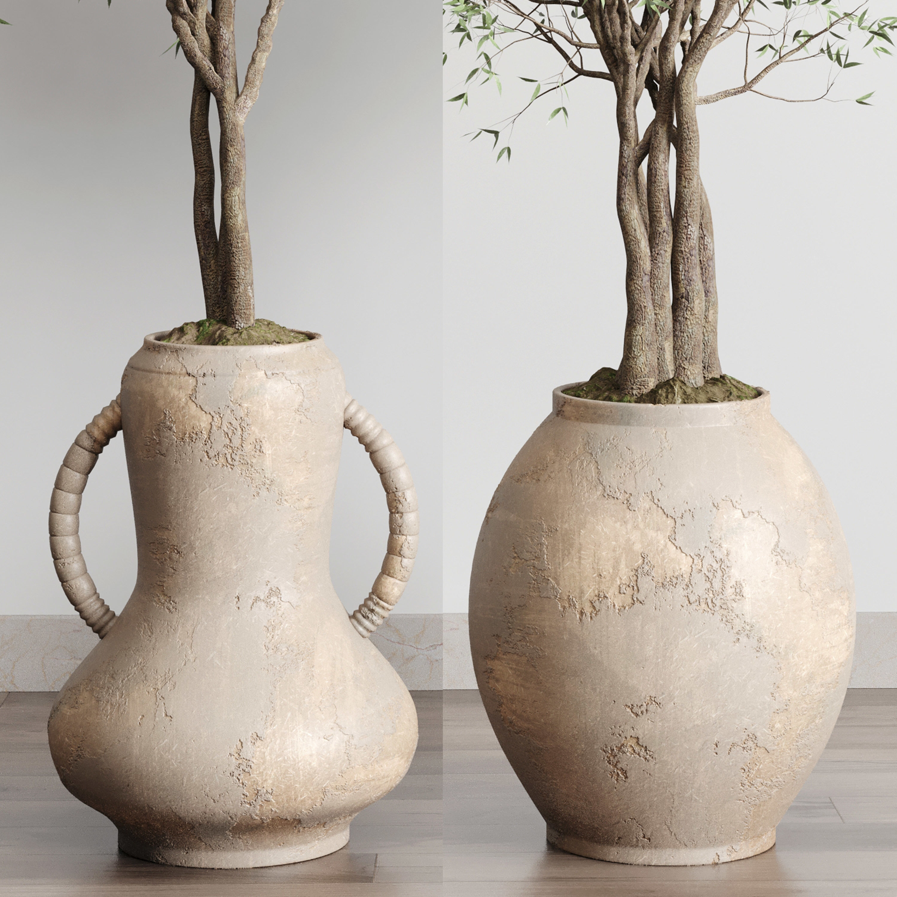 Olive tree in an old earthenware vase indoor collection 182 3D model_5