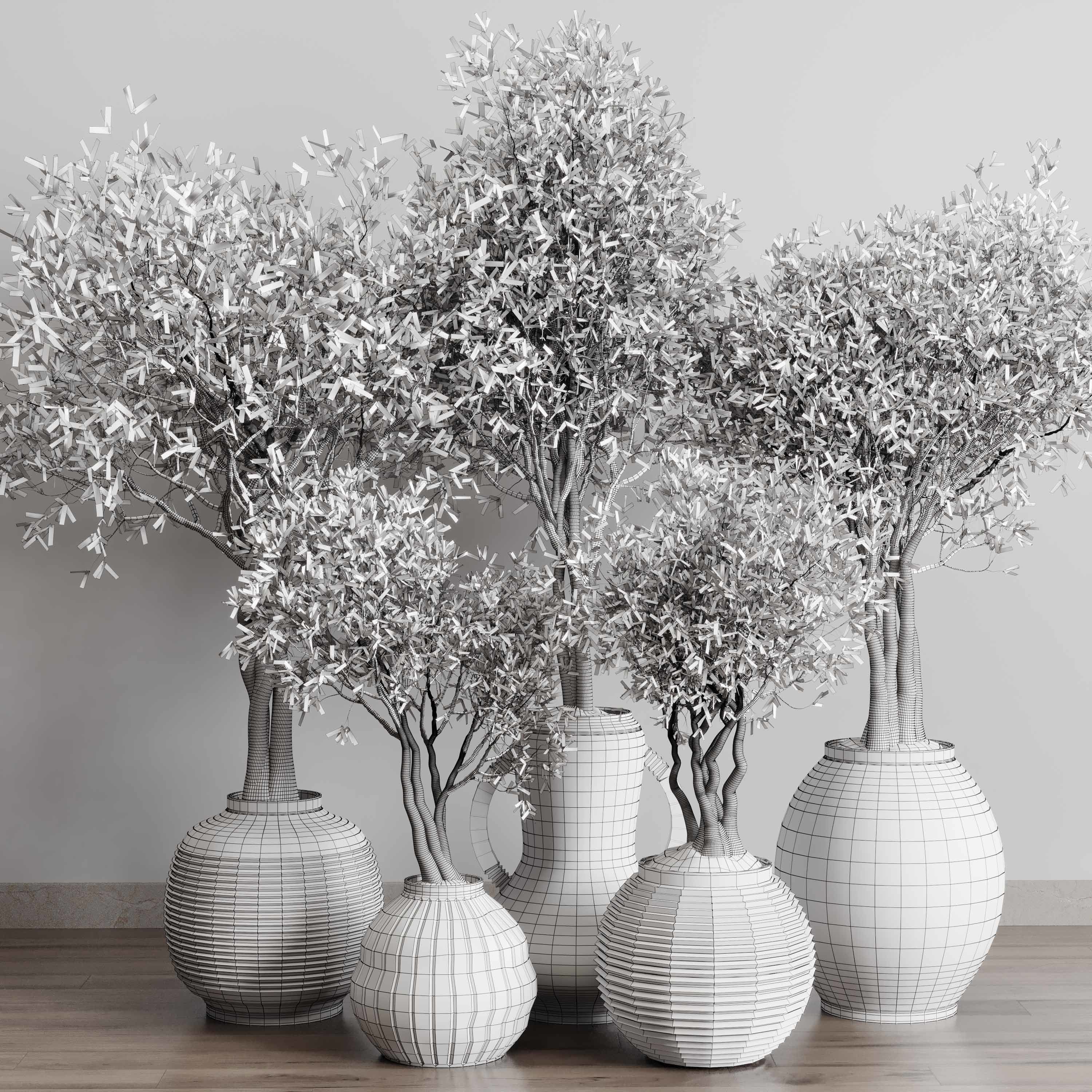 Olive tree in an old earthenware vase indoor collection 182 3D model_6