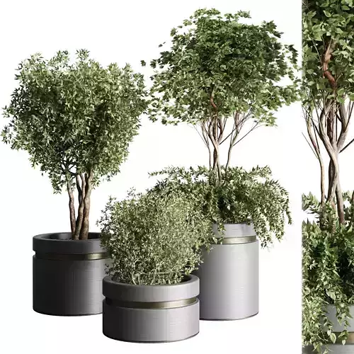 Tree pots and shrubs-bush metal vase for outdoor indoor