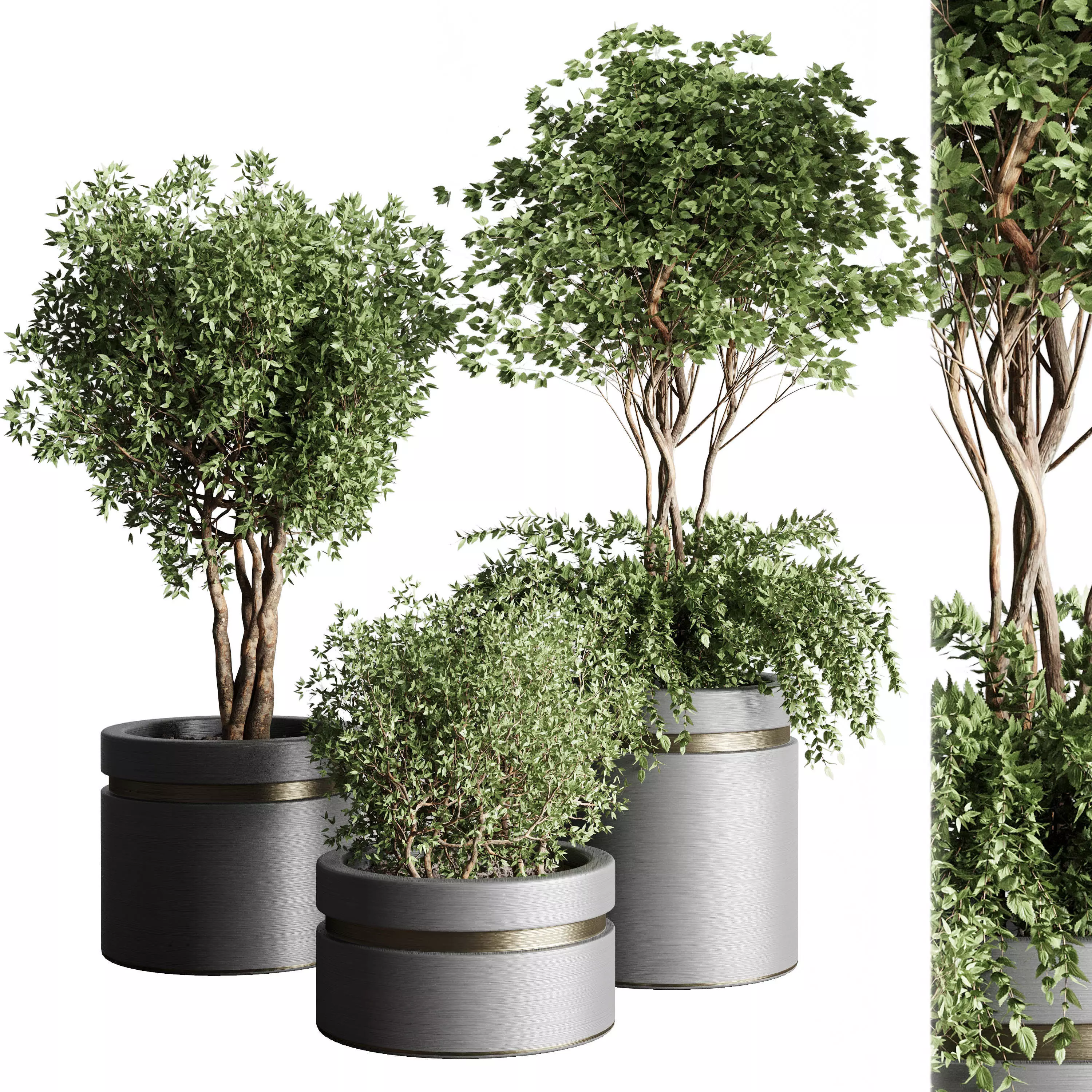 Tree pots and shrubs-bush metal vase for outdoor indoor 3D model