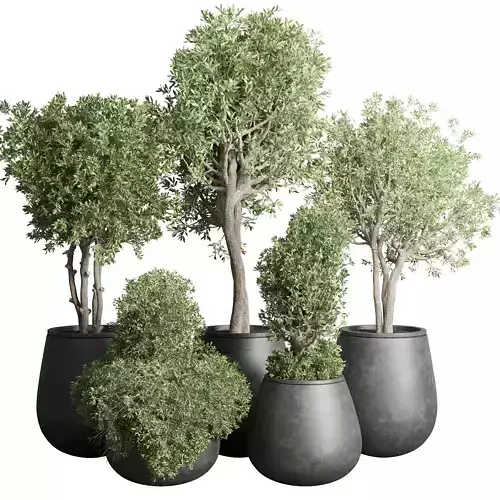 Tree pots and shrubs-bush 75 concrete dirt vase for