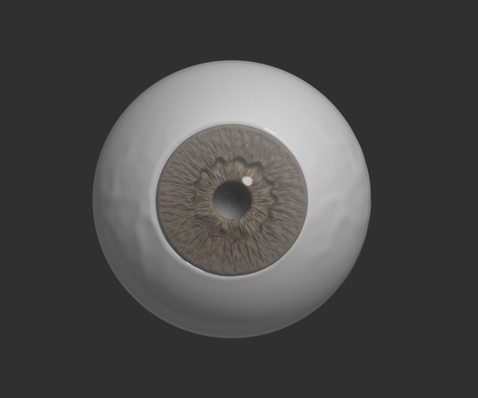 3D model Human Eye 3D model CGTrader