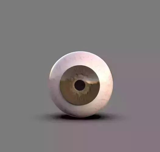 3D model - Human Eye