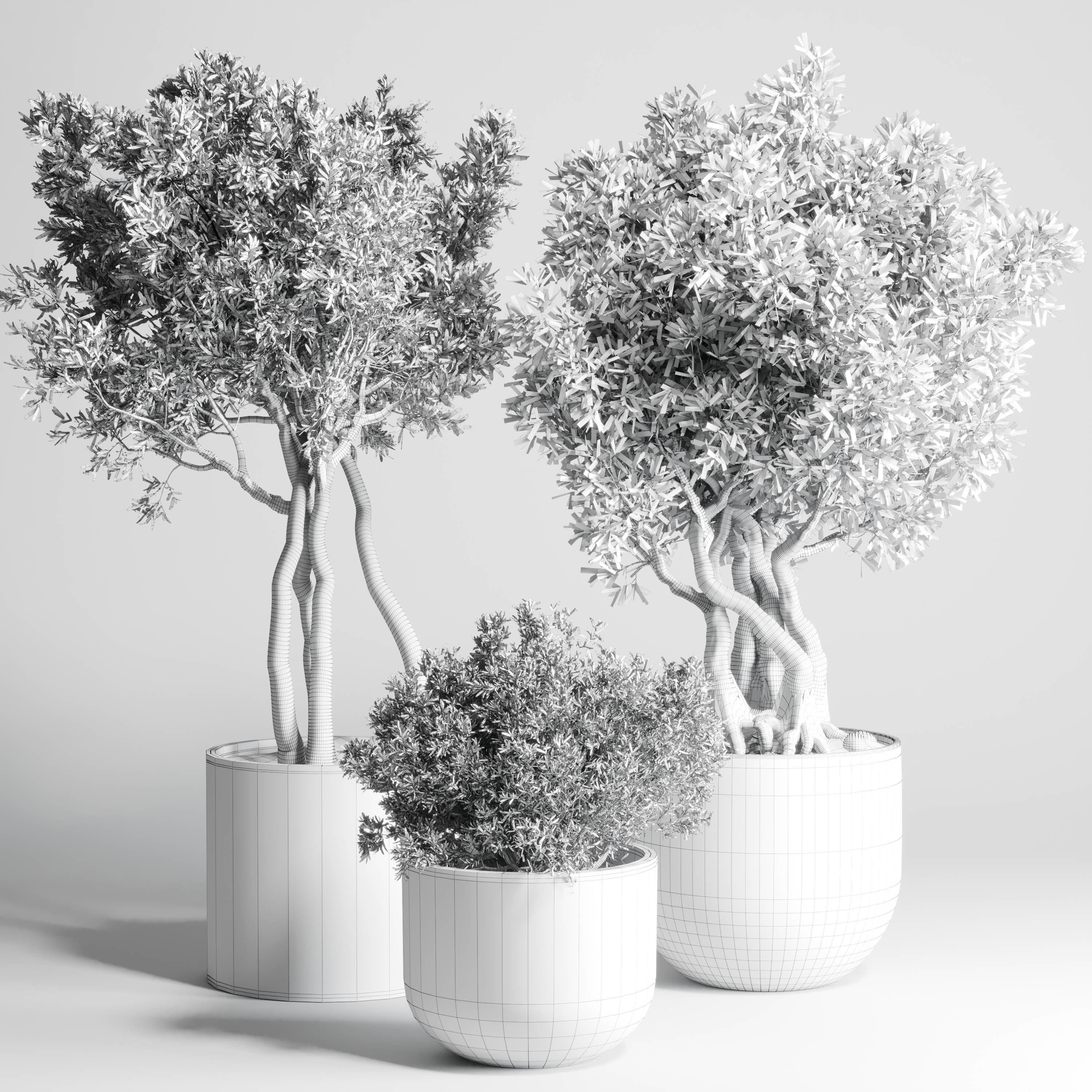 Collection Outdoor Indoor plant concrete dirt vase pot tree bush 3D model_4
