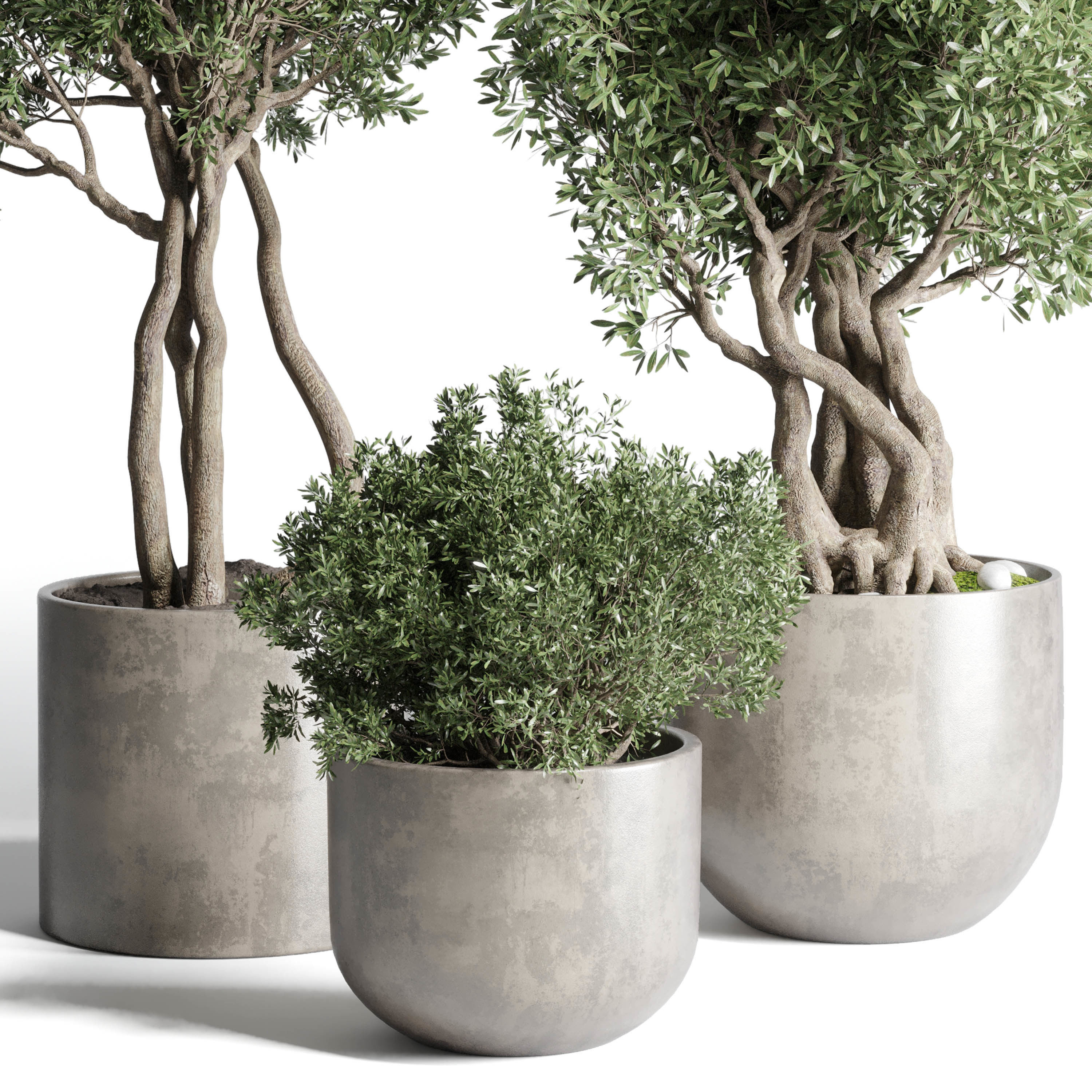 Collection Outdoor Indoor plant concrete dirt vase pot tree bush 3D model_3