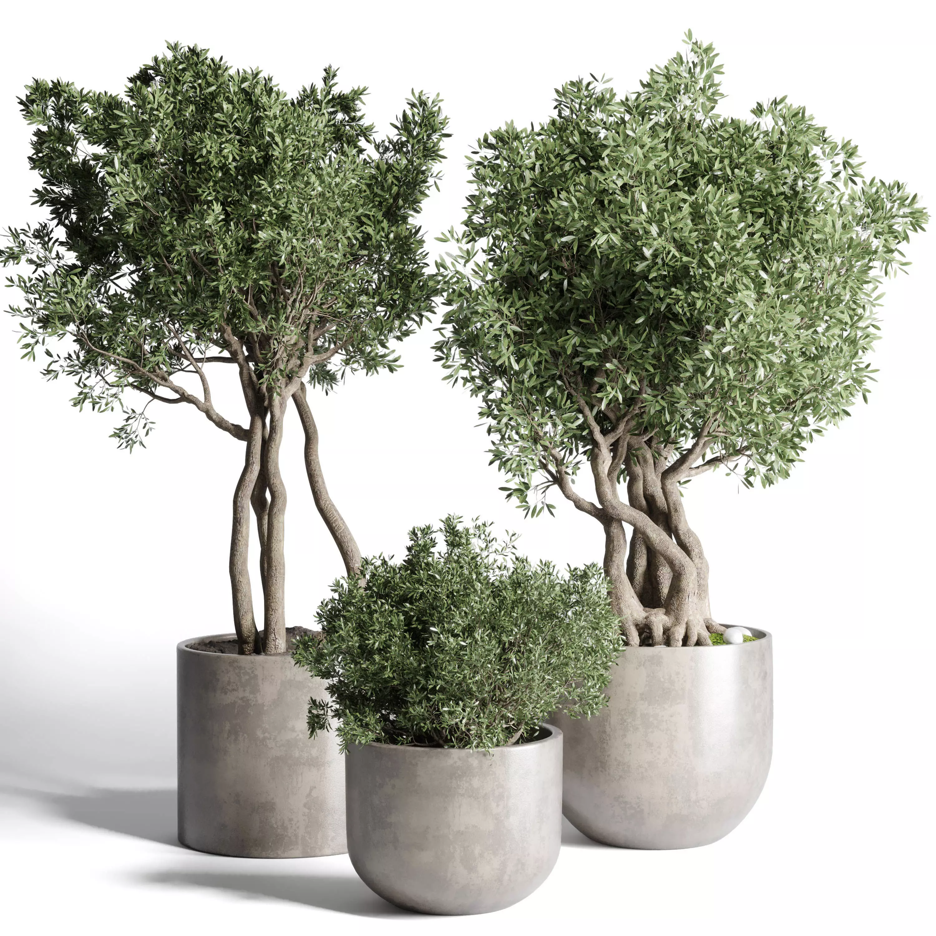 Collection Outdoor Indoor plant concrete dirt vase pot tree bush 3D model_0