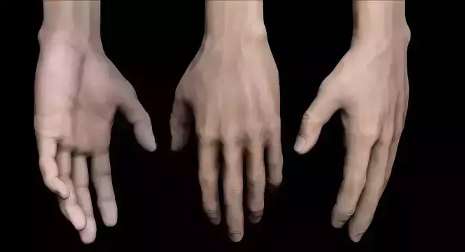 Realistic hand 3D pair of hands with different fingers