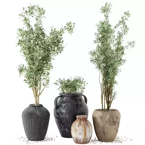 Outdoor Plants tree in rusty Concrete Pot  Set 1