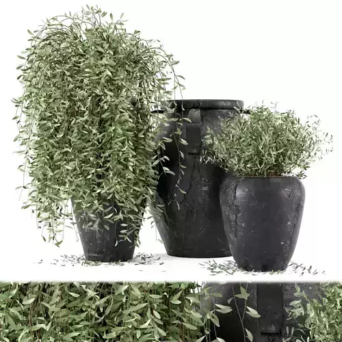 Outdoor Plants tree in rusty Concrete Pot - Set 2