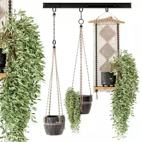 Indoor Plants in rusty Concrete Pot with Macrame - Set 3