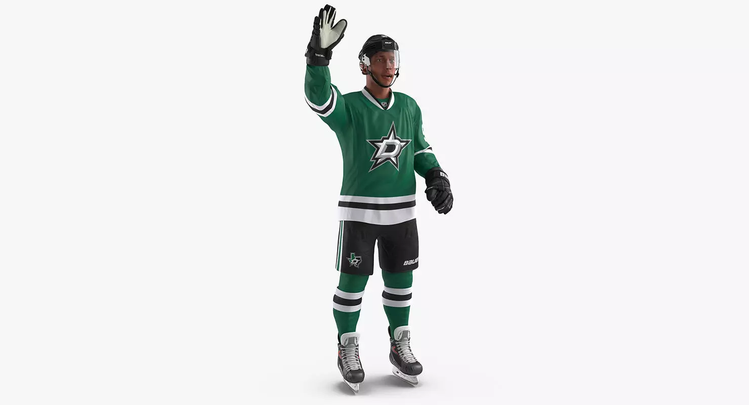 Hockey Player Stars Rigged 3D model