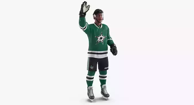 Hockey Player Stars Rigged