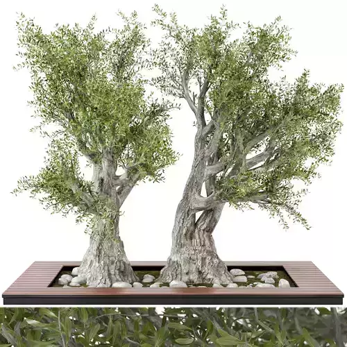 Outdoor Plants - Garden set Tree - Garden Set 06 3D model