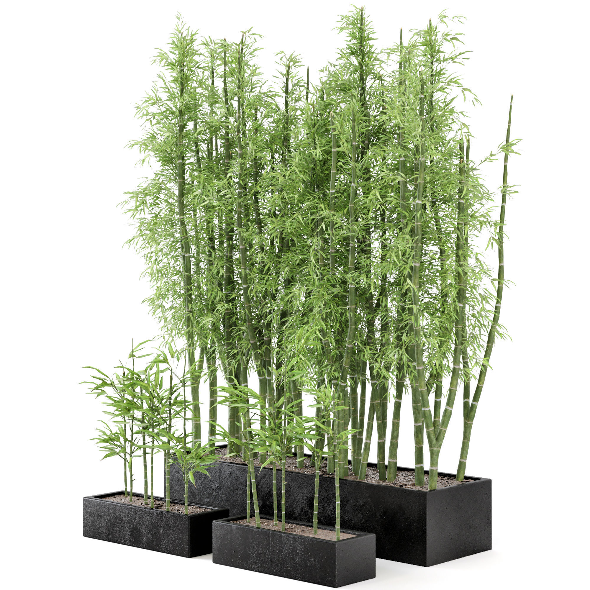  Indoor Plants Bamboo Set in rusty Concrete Pots - Set 7 3D model_2
