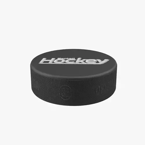 Hockey Puck 4