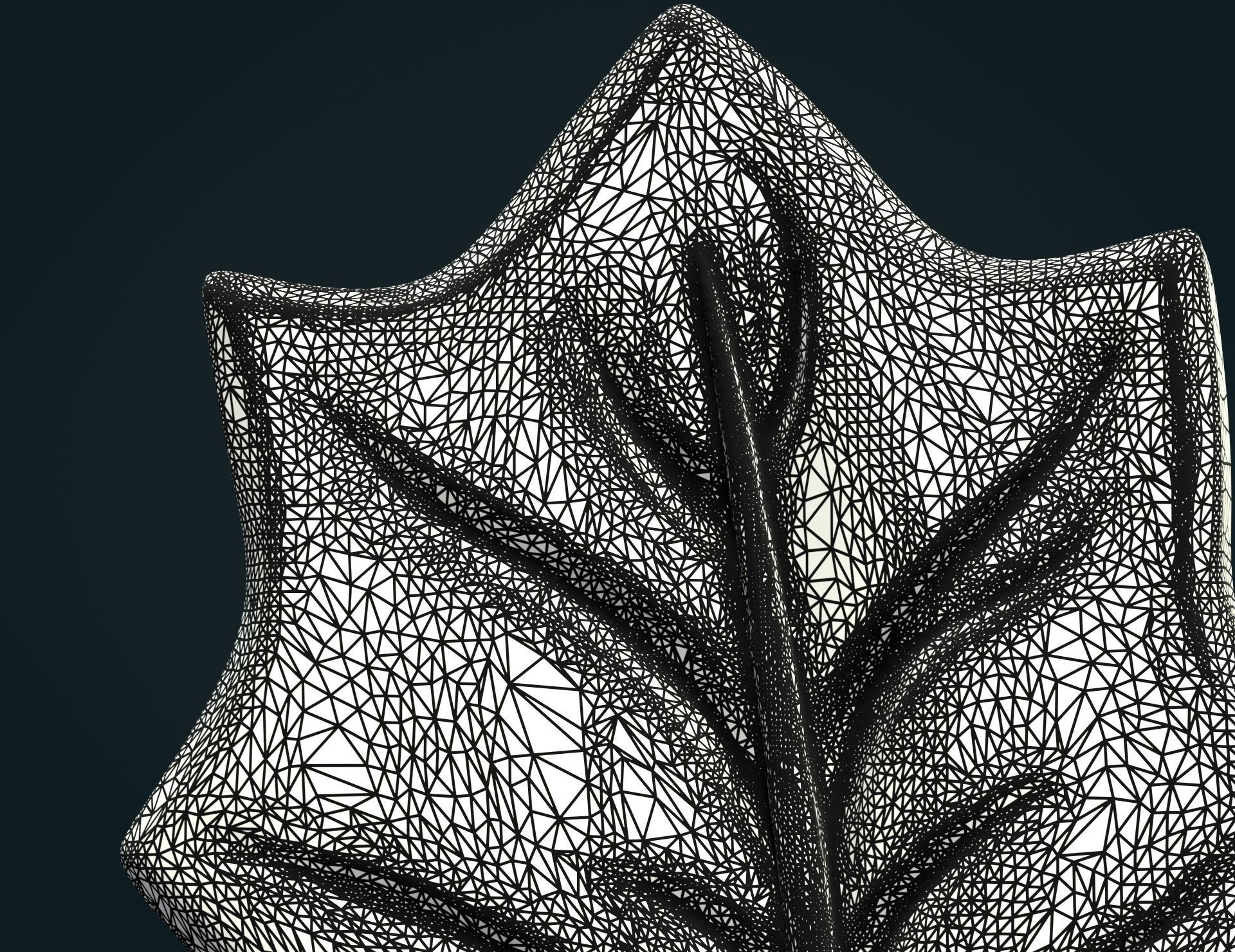 Maple Leaf II 3D print model_11