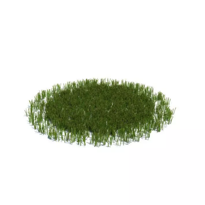 Grass That Fits Well Onto Floor Surface 3D model_0