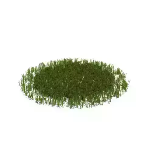 Grass That Fits Well Onto Floor Surface