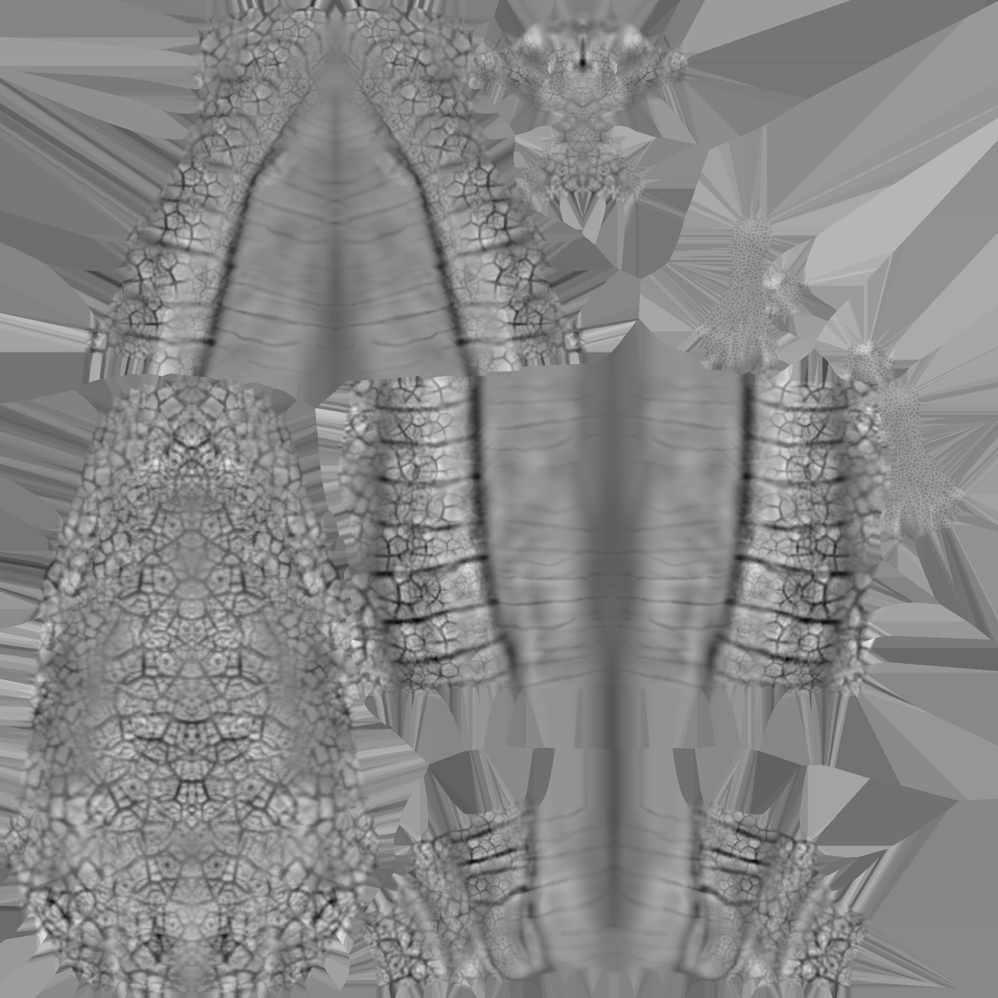 Snail model 3D model_11