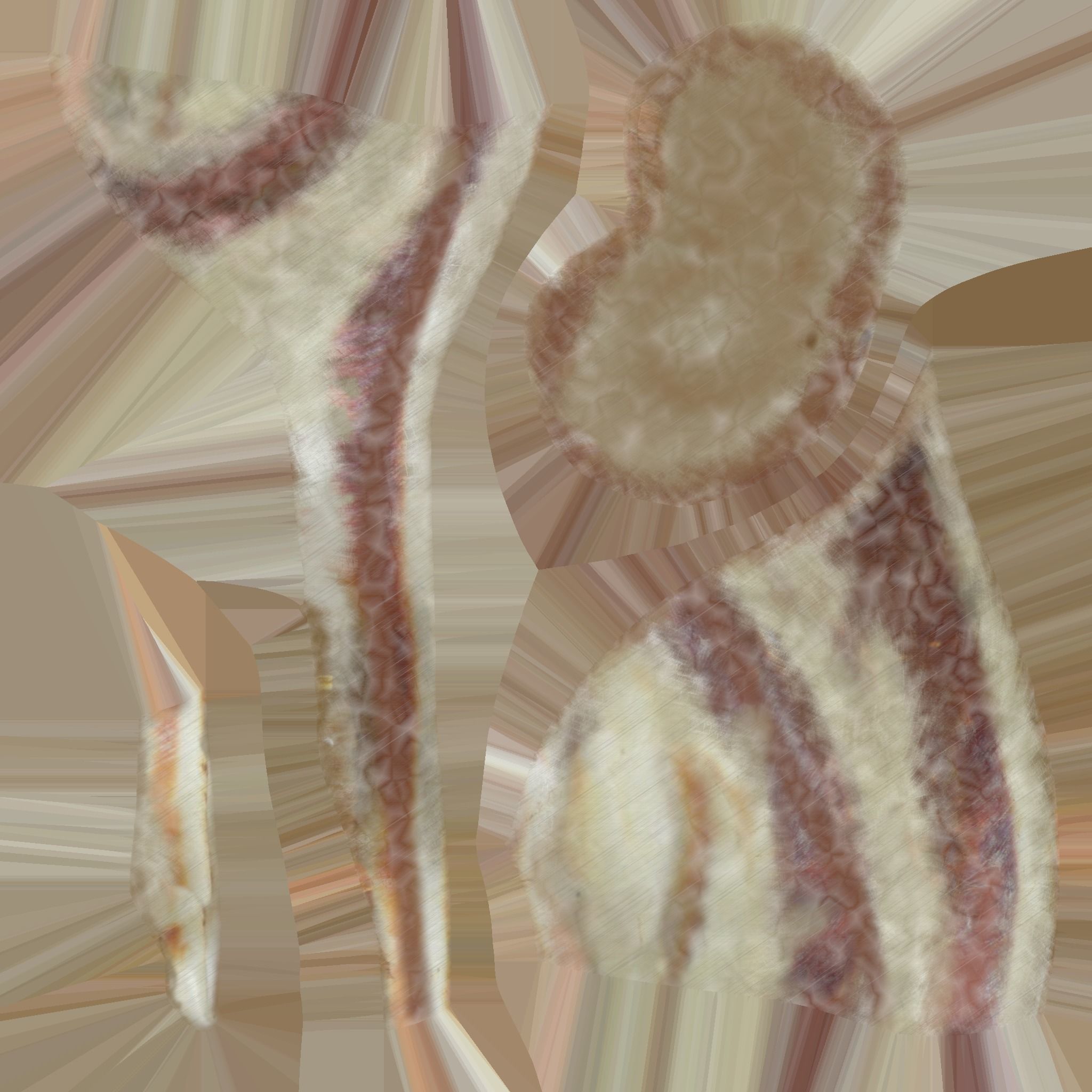 Snail model 3D model_10