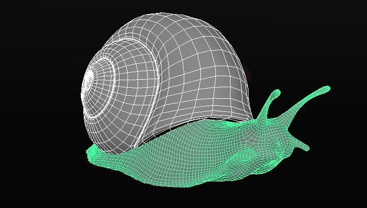 Snail model 3D model_2