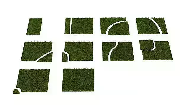 Grass Puzzle 14 Am63