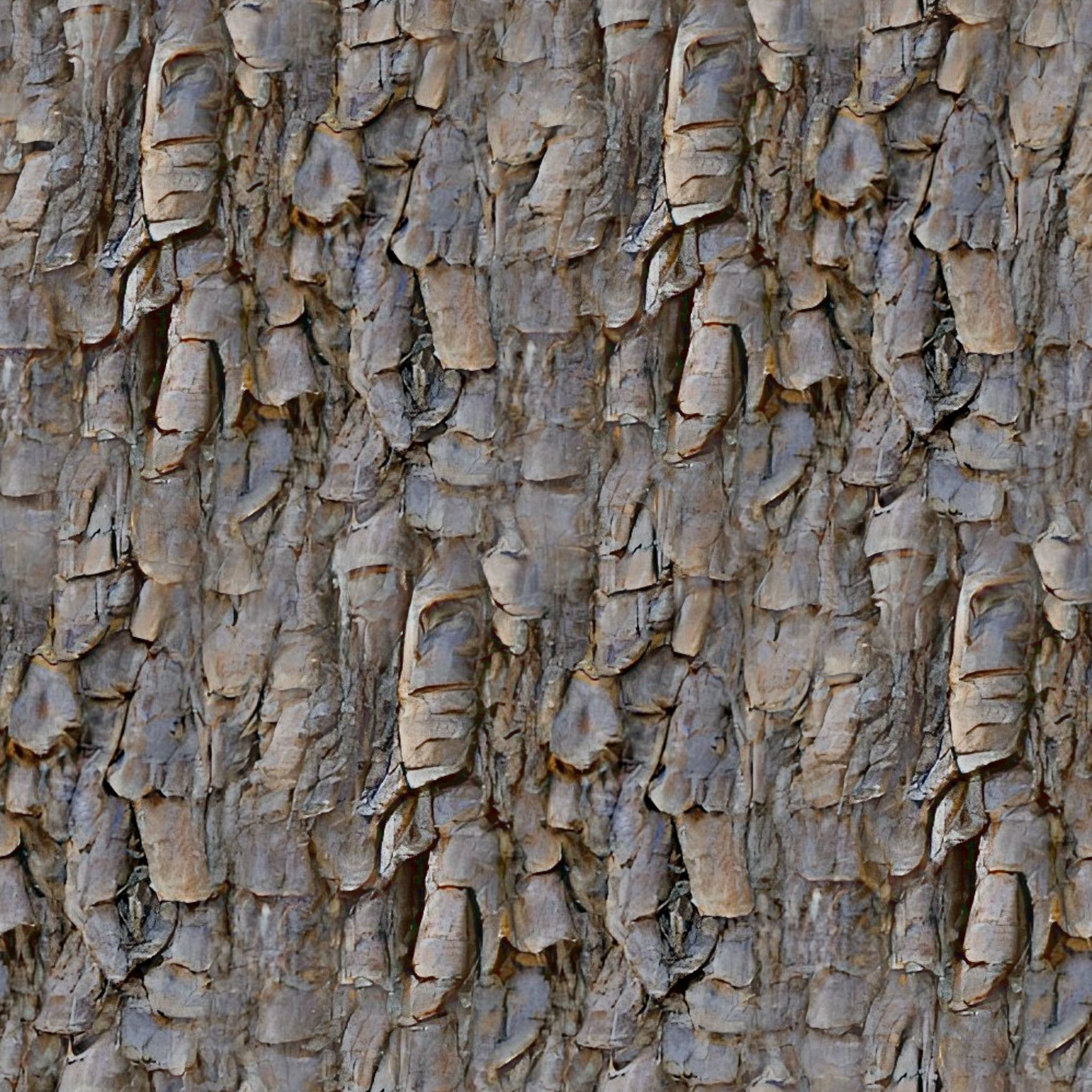 Bark 3 acorn Texture_3