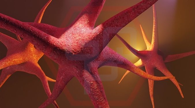 NEURON in shape of star Low-poly 3D model