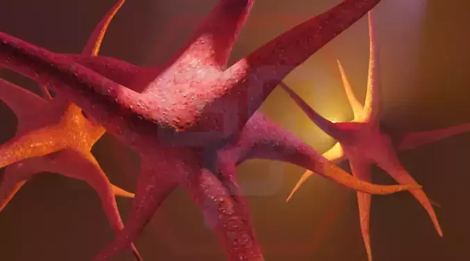 NEURON in shape of star
